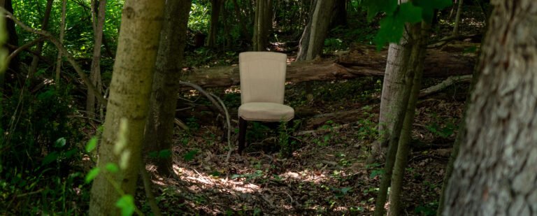 A Chair in the Woods